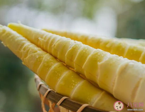 买回来的新鲜春笋吃不完怎么保存更合适 蚂蚁庄园3月29日答案