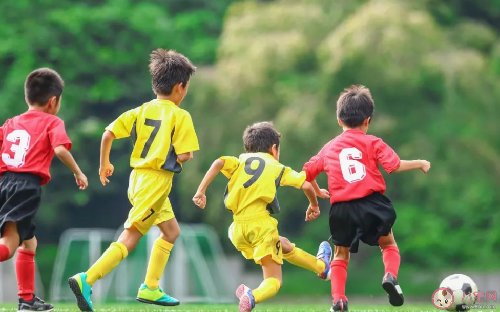 春季是孩子长高黄金期吗 哪些运动能帮助孩子长高